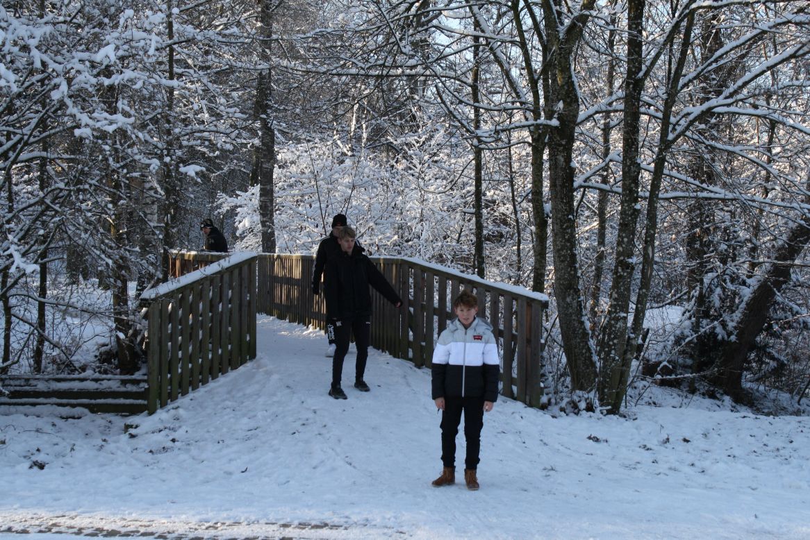 Elektro Schnee